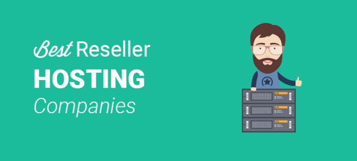 Best Reseller Web Hosting by Lovepreet Dhawan on Dribbble